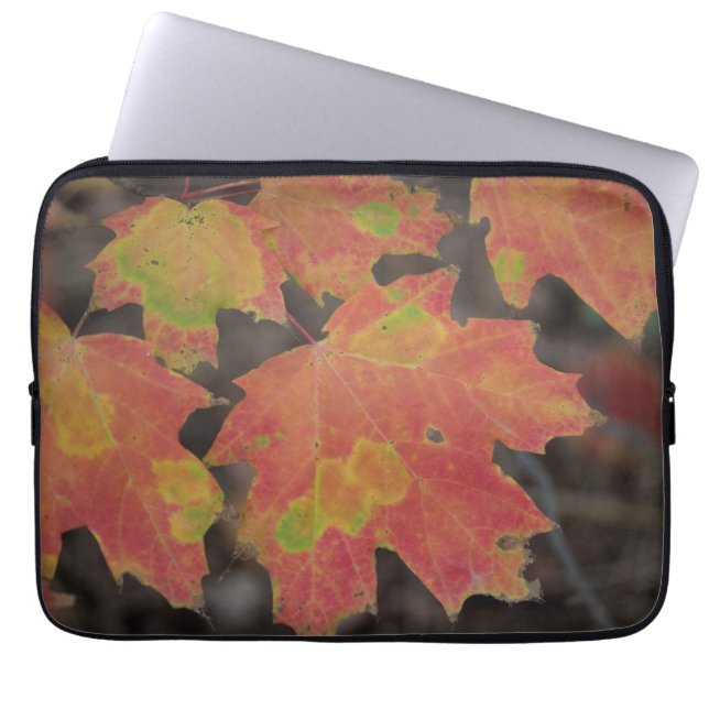 Protection Pour Ordinateur Portable Feuilles d'automne (Devant)