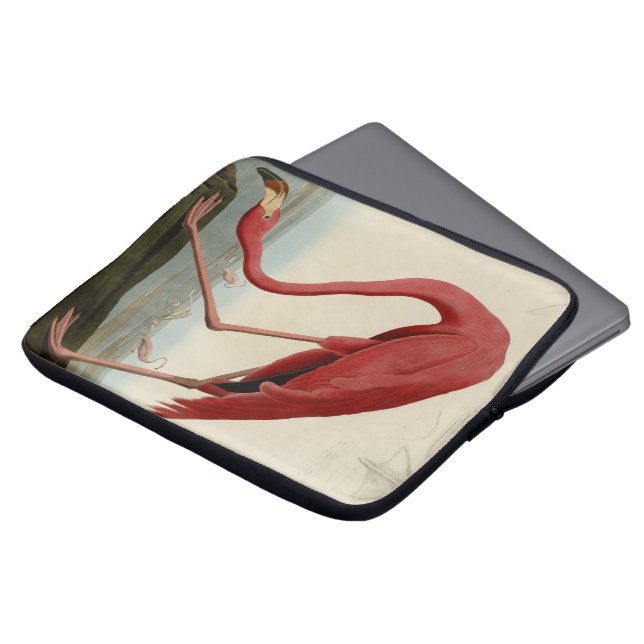 Protection Pour Ordinateur Portable Flamant rose américain (Devant haut)