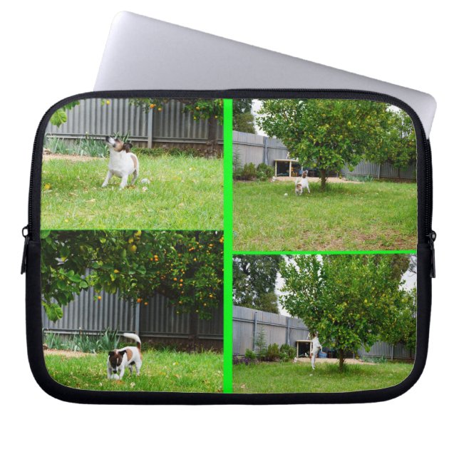 Protection Pour Ordinateur Portable Fox Terrier, Photo Collage 10inch Portable Sleeve. (Devant)