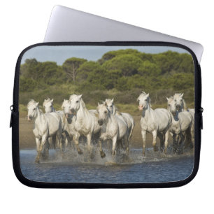 Protection Pour Ordinateur Portable France, Camargue. Les chevaux courent à travers l'