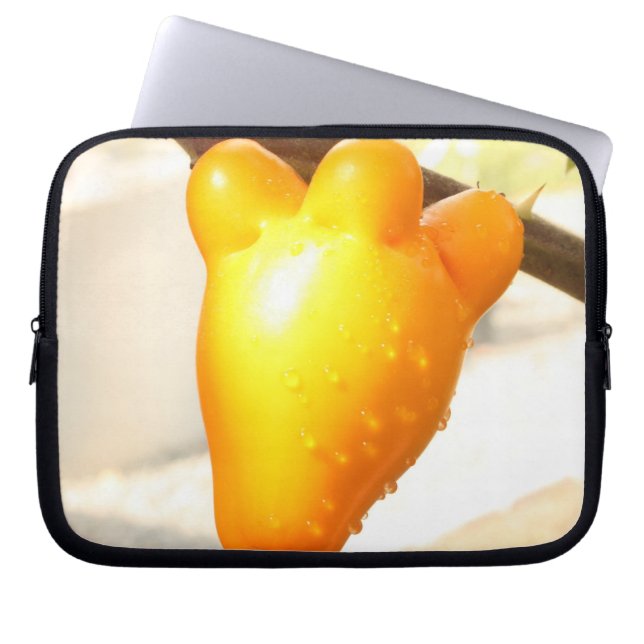 Protection Pour Ordinateur Portable Fruit Visage Renard (Devant)