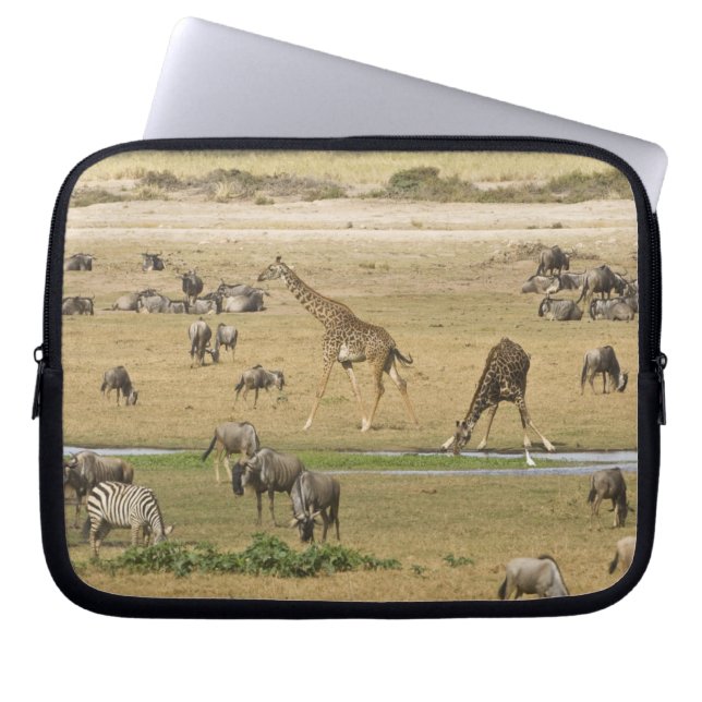 Protection Pour Ordinateur Portable Gnoux, Zèbres et Girafes (Devant)