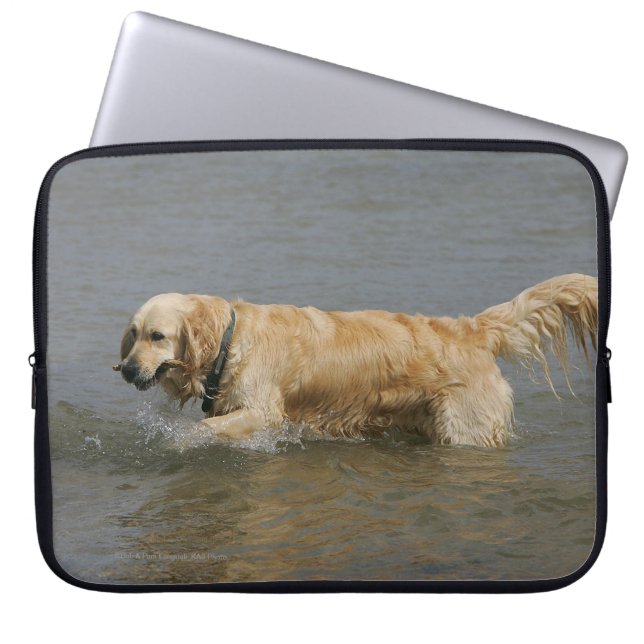 Protection Pour Ordinateur Portable Golden retriever dans l'eau (Devant)