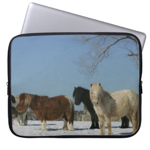 Protection Pour Ordinateur Portable Groupe de chevaux miniatures dans la neige