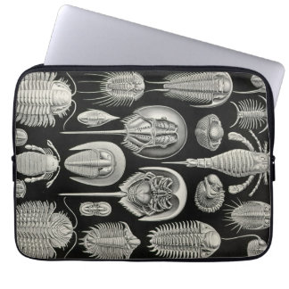 Protection Pour Ordinateur Portable Haeckel vintage