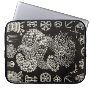 Protection Pour Ordinateur Portable Haeckel vintage
