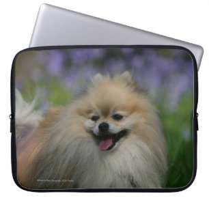 Protection Pour Ordinateur Portable Halètement de Pomeranian