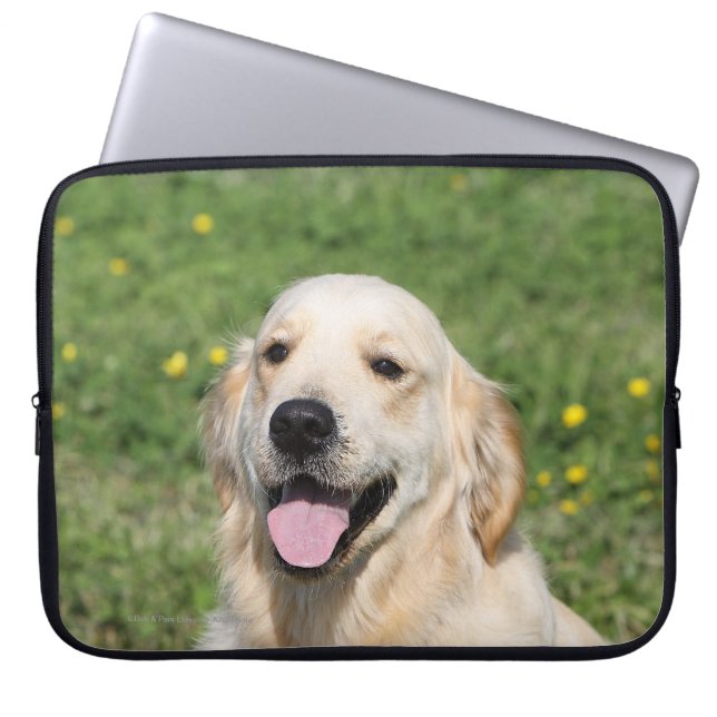 Protection Pour Ordinateur Portable Headshot 1 de golden retriever (Devant)