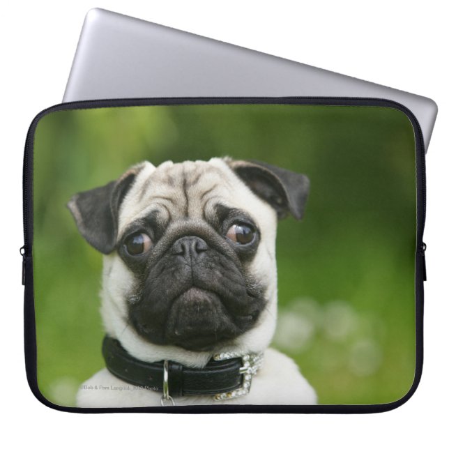 Protection Pour Ordinateur Portable Headshot de carlin (Devant)