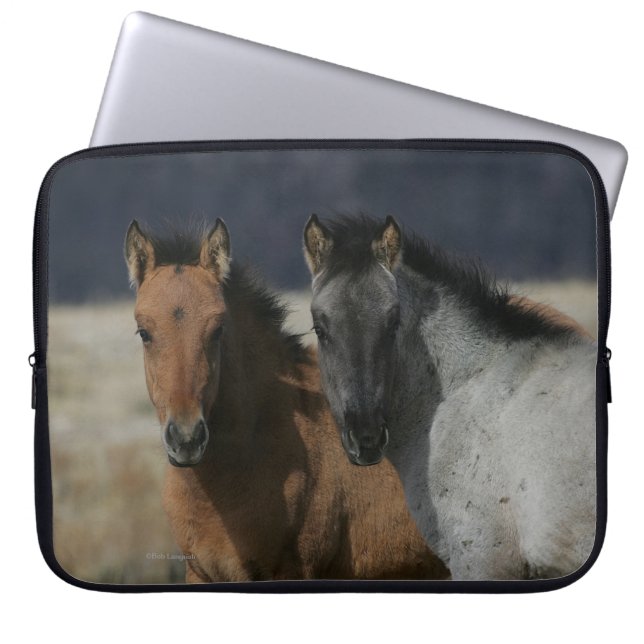 Protection Pour Ordinateur Portable Headshot de poulain de mustang (Devant)