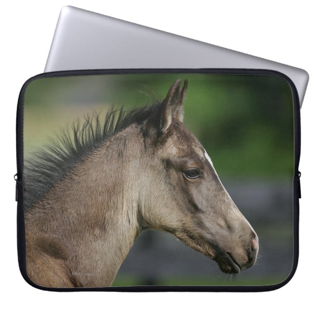 Protection Pour Ordinateur Portable Headshot quart de poulain de cheval (Devant)