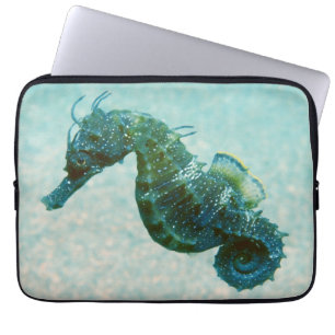 Protection Pour Ordinateur Portable Hippocampe Court-Foui Crimée, Russie