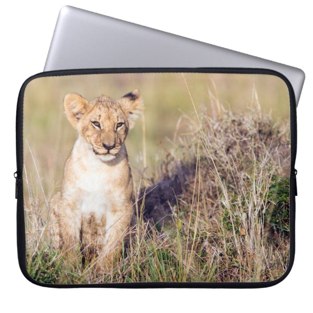 Protection Pour Ordinateur Portable Jeune lion (Devant)