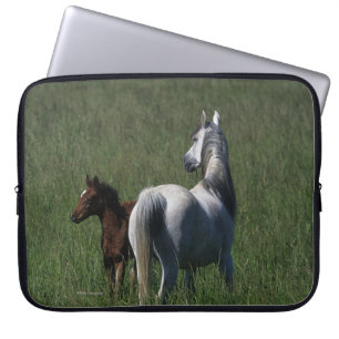 Protection Pour Ordinateur Portable Jument et poulain arabes