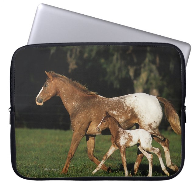 Protection Pour Ordinateur Portable Jument et poulain d'Appaloosa (Devant)