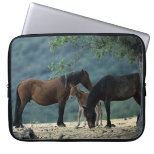 Protection Pour Ordinateur Portable Jument et poulain sauvages de mustang