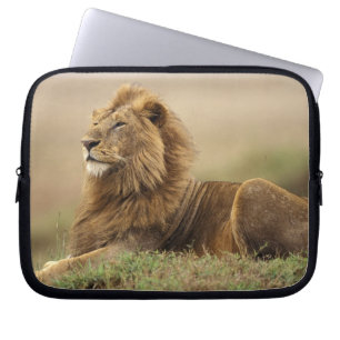 Protection Pour Ordinateur Portable Kenya, Masai Mara Lion mâle