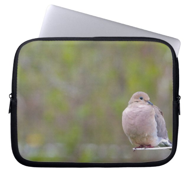 Protection Pour Ordinateur Portable La colombe en deuil (Devant)