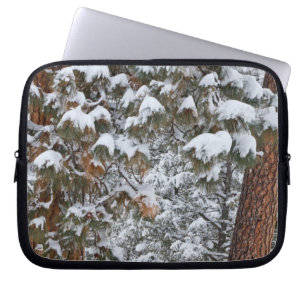 Protection Pour Ordinateur Portable La neige remplit les branches des pins ponderosa