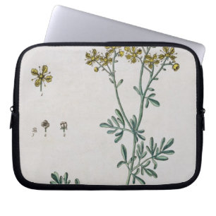 Protection Pour Ordinateur Portable La rue, plaquent 7 "d'un de fines herbes curieux",