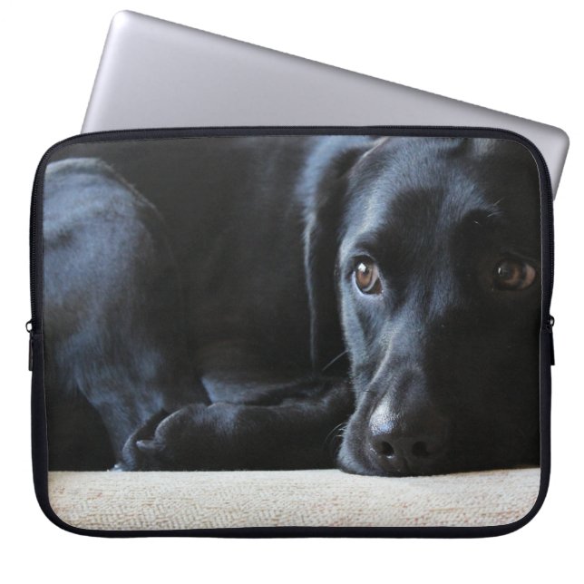 Protection Pour Ordinateur Portable Labrador noir (Devant)
