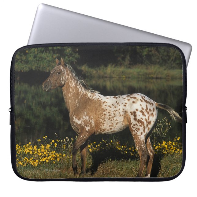 Protection Pour Ordinateur Portable Lac se tenant prêt horse d'Appaloosa (Devant)