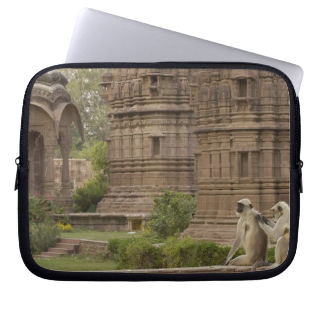Protection Pour Ordinateur Portable Langurs d'Hanuman ou langur commun (Devant)