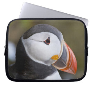 Protection Pour Ordinateur Portable Le Macareux atlantique, un oiseau de mer pélagique