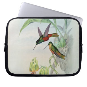Protection Pour Ordinateur Portable L'étoile de Bonaparte a affronté le colibri