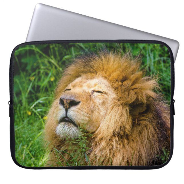 Protection Pour Ordinateur Portable Lion (Devant)