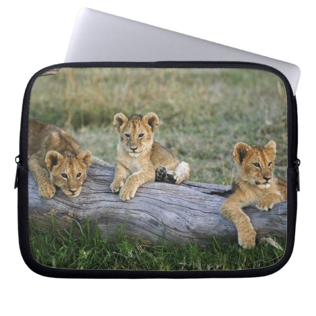 Protection Pour Ordinateur Portable Lionceaux sur une bûche (Devant)
