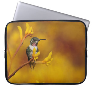 Protection Pour Ordinateur Portable Lueur d'or
