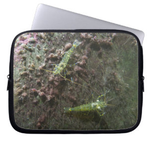 Protection Pour Ordinateur Portable Manche pour ordinateur portable en néoprène Shrimp