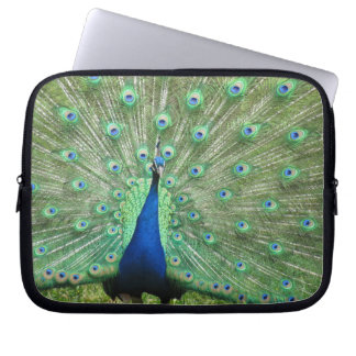 Protection Pour Ordinateur Portable Manche pour ordinateur portable - Peacock