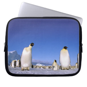 Protection Pour Ordinateur Portable Manchot Antarctique, péninsule Antarctique