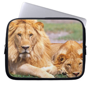 Protection Pour Ordinateur Portable Paire de lions d'Afrique, Panthera leo, Tanzanie