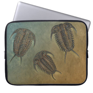 Protection Pour Ordinateur Portable "Paléo-chic" Ceraurus Fossil Trilobite