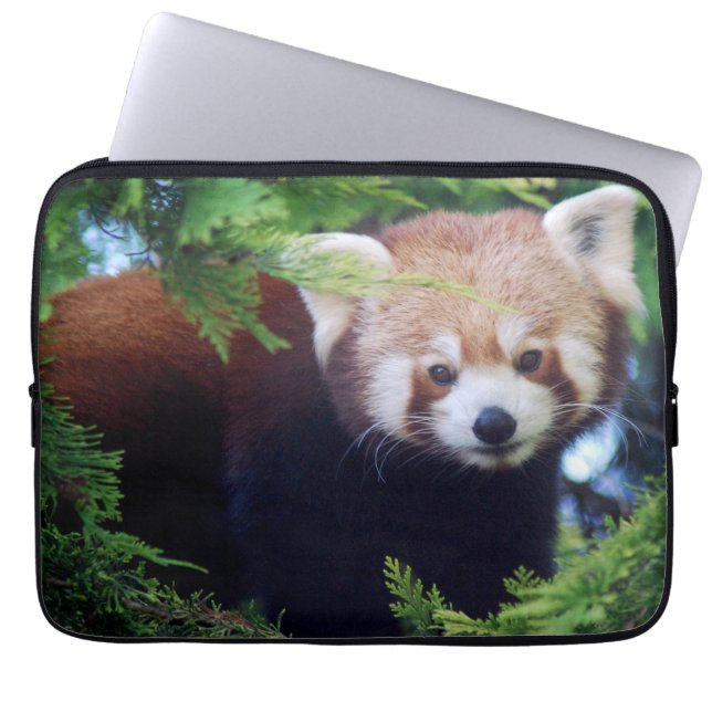 Protection Pour Ordinateur Portable Panda rouge (Devant)