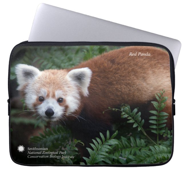 Protection Pour Ordinateur Portable Panda rouge de Smithsonien | (Devant)