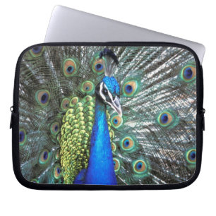 Protection Pour Ordinateur Portable Paon magnifique déployant des plumes colorées