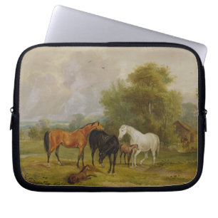 Protection Pour Ordinateur Portable Pâturage de chevaux : Juments et poulains dans un