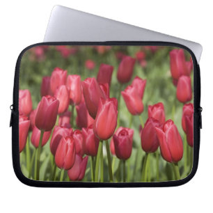 Protection Pour Ordinateur Portable Pays-Bas (aussi appelé Hollande), Lisse. Keukenhof