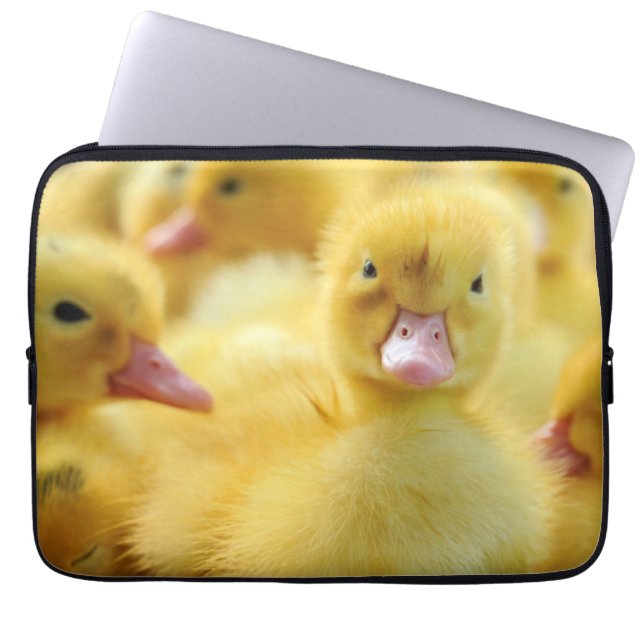 Protection Pour Ordinateur Portable Petits canards (Devant)