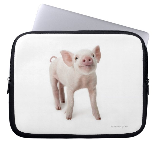 Protection Pour Ordinateur Portable Pig debout en regardant (Devant)