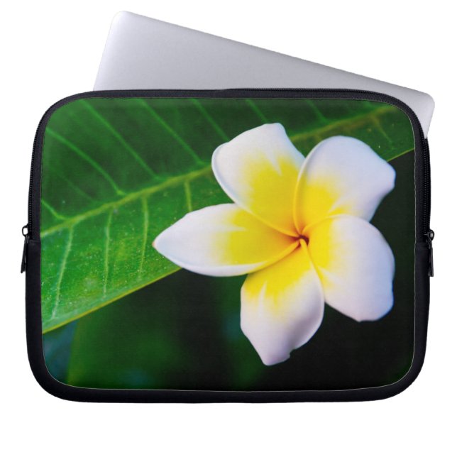 Protection Pour Ordinateur Portable Plumeria (Devant)
