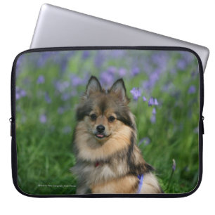 Protection Pour Ordinateur Portable Pomeranian dans l'herbe