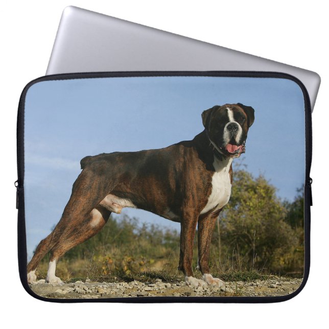 Protection Pour Ordinateur Portable Position d'exposition canine de boxeur (Devant)