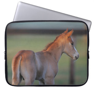 Protection Pour Ordinateur Portable Poulain quart de cheval