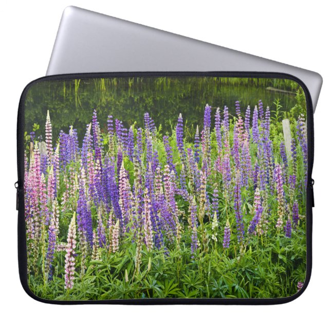 Protection Pour Ordinateur Portable Purple and Pink Lupine Floral Photographe (Devant)