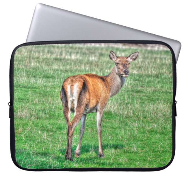 Protection Pour Ordinateur Portable Red Deer & Field Wildlife Animal Design (Devant)